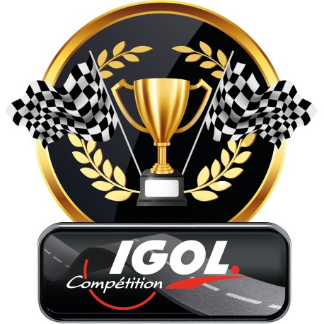 TROFÉU IGOL VERSÃO REDONDA 2023 COLECIONADOR